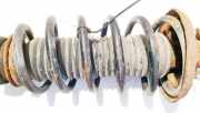 Fahrwerksfeder vorne Audi A3, 8L 2000.10 - 2003.05 facelift Gebraucht,