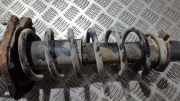 Fahrwerksfeder Hinterachse Toyota Corolla Verso, II 2001.09 - 2004.05 Gebraucht,