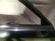 Zierleiste Leiste - Vorne Rechts Lexus IS, II 2005.10 - 2013.03 Gebraucht ,