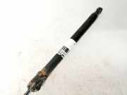 Gasdruckfeder Kofferraum Volkswagen Passat, B6 2005.08 - 2010.11 3c9827550a, 6593vh BWA