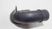 Schlauch für Luftversorgung Renault Megane, I 1995.11 - 1999.02 7700866102,