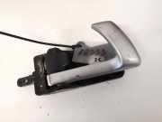 Türinnengriff - Hinten Linke Hyundai Santa Fe, 2006.03 - 2012.09 82623cm000,82623-cm000