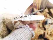 Achsschenkel Radnabe - Hinten Rechts Toyota Avensis, II 2003.04 - 2006.03 Gebraucht,