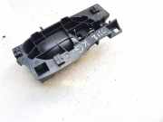 T?rinnengriff - Hinten Linke Peugeot 407, 2004.05 - 2010.12 10018ind,