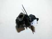 AGR Ventil Ford Focus, 2008.06 - 2011.04 facelift 216049521,21604952-1