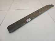 Einstiegsleiste vorne links Nissan Terrano, II 1993.02 - 2006.12 769520F000,76952 0F 000