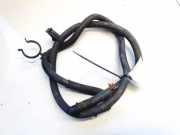 Kühlerschlauch Ford C-MAX, 2003.01 - 2007.06 3m5h8c012kh, n2m5d