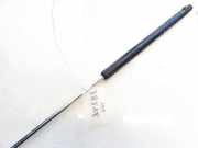 Gasdruckfeder Kofferraum Volkswagen Passat, B5 1996.08 - 2000.11 Gebraucht, AFN