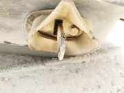 T?rfangband T?rbremse T?rstopper - Hinten Linke Volkswagen Sharan, 7M 1995.09 - 2000.04 Gebraucht, Avg