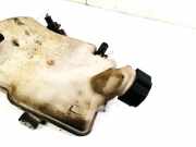 Ausgleichsbehälter Peugeot 206, 1998.08 - 2002.07 9625010980,9630834780
