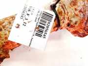 Stoßdämpfer - Vorne Rechts Opel Agila A 2000 - 2007 Gebraucht,