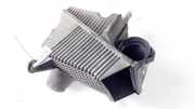Luftfilterkasten Renault Scenic, II 2003.06 - 2006.06 8200369798,8200369775