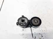 Spannrolle Ford Mondeo, 2007.03 - 2013.06 TF109D,