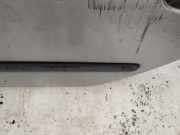Zierleiste T?r Zier-Schutzleiste - Hinten Linke Renault Laguna, I 1994.01 - 2001.03 Gebraucht,