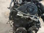 Zahnriemenschutz Abdeckung Ford Focus, 2004.11 - 2008.06 PA6MD30,PA6-MD30 9651560180