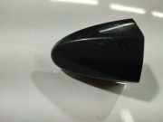 Türgriff Außen Endkappe Ford Fiesta, VI 2008.12 - 2012.10 Gebraucht ,