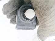 Motor Leuchtweitenregulierung Opel Signum, 2003.05 - 2008.06 00787806, 007878-06