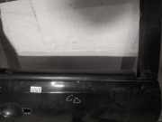 Zierleiste Leiste - Hinten Rechts Nissan Qashqai, I 2006.01 - 2010.06 Gebraucht,