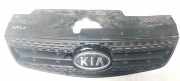 K?hlergrill Frontgrill K?hlergitter Kia Rio, 2005.03 - 2011.09 863611g210,86361-1g210