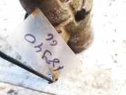 Anlasser Volkswagen Phaeton, 2002.04 - 2006 Gebraucht, AYT