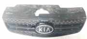 Kühlergrill Frontgrill Kühlergitter Kia Rio, 2005.03 - 2011.09 863611g210, 86361-1g210