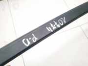 Schutzleiste Tür - Vorne Rechts Nissan Leaf, I 2010 - 2017.12 Gebraucht,