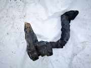 Luftfiltergehäuse Peugeot 307, 2000.08 - 2005.06 Gebraucht,