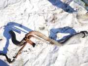 Tankeinfüllstutzen Tankrohr Kraftstoffrohr Lexus IS, II 2005.10 - 2013.03 Gebraucht,