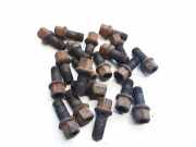 Radbolzen- Radmutter Volkswagen Polo, IV 2005.04 - 2009.11 facelift Gebraucht, BNM