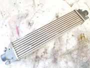 Ladeluftkühler Fiat Bravo, 2006.11 - 2014 Gebraucht,