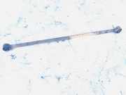 Stabilisator Stabi Hinten Hinterachse Kia Carnival, 1998.08 - 2005.09 Gebraucht,