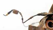 Kabelbaum Opel Vectra, C 2002.04 - 2005.10 24418887,
