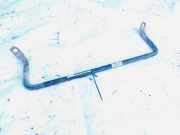 Stabilisator Stabi Hinten Hinterachse Volvo V50, 2004.04 - 2007.05 5a772ha,