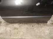 Zierleiste T?r Zier-Schutzleiste - Vorne Linke Lexus RX, 2000.07 - 2003.05 Gebraucht,