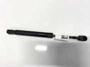Gasdruckfeder Kofferraum Nissan Primera, P12 2002.01 - 2008.12 0867qz0510n,84430av600