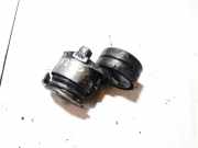 Spannrolle Renault Scenic, II 2003.06 - 2006.06 905328,