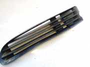 Kühlergrill - Vorne Linke Audi A8, D2 1994.03 - 1999.06 4d0853683,