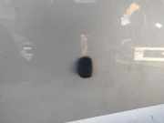 Waschwasserdüse Scheibenreinigung Hyundai Santa Fe, 2000.11 - 2006.03 Gebraucht,