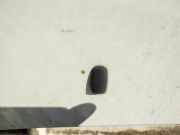 Waschwasserdüse Scheibenreinigung Ford Focus, 1998.10 - 2002.10 Gebraucht,