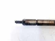 Einspritzdüse Hyundai Santa Fe, 2000.11 - 2006.03 0445110064, 3380027010