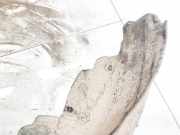 Radhausschale - Hinten Linke Toyota Corolla Verso, III 2004.05 - 2007 Gebraucht,