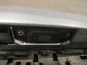 Kennzeichenleuchte Volkswagen Passat, B5 1996.08 - 2000.11 Gebraucht, AFN