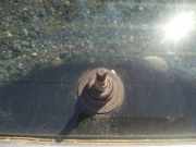 Wischermotor - Hinten Audi A4, B5 1994.11 - 1999.09 Gebraucht,