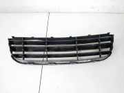 K?hlergrill - Vorne Center Volkswagen Polo, IV 2005.04 - 2009.11 facelift Gebraucht, BME