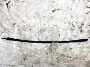 Zierleiste Leiste - Vorne Linke Opel Corsa, C 2000.09 - 2006.07 316219989,