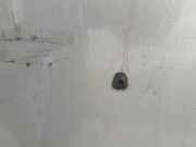 Waschwasserd?se Scheibenreinigung Volvo S40, 1995.07 - 2000.07 Gebraucht,