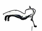 Einspritzleitung Dacia Logan, I 2004.09 - 2009.03 Gebraucht,