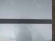 Zierleiste Tür Zier-Schutzleiste - Vorne Linke Ford Focus, 2004.11 - 2008.06 Gebraucht,