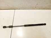 Gasfeder für Motorhaube Hyundai Santa Fe, 2006.03 - 2012.09 811602b010,