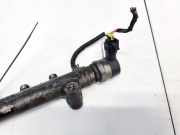 Kraftstoffverteiler Hyundai Santa Fe, 2006.03 - 2012.09 0281002507, 22586325